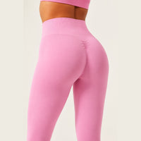 LiftLux The Seamless Legging in Pink - back detail